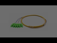 SC/APC 6 Núcleos Bundle Fibra Óptica Fibra Óptica Pigtail Single Mode 9/125um Colete Amarelo