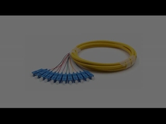 SC/UPC 12 Núcleos Bundle Fan-out Fibra Óptica Pigtail Single Mode 9/125um Colete Amarelo